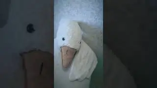 г̠у̠с̠и̠ а̠ м̾о̾ж̾н̾о̾ я̾ с̾ вами😩