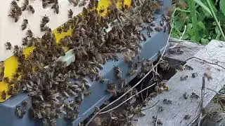 Приємні спогади.