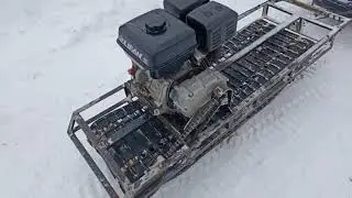 Первый выезд на мотособаке