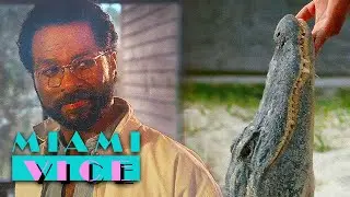Tubbs Goes to To See the Alligator Wrestling | Miami Vice