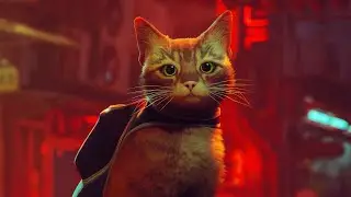 In this game, you play as a cat.