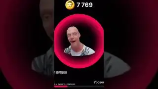 мелстрокомбат #хамстеркомбо