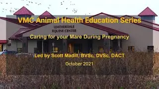 AHES October 6 webinar featuring Scott Madill