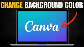 How to Change the Background Color in Canva’s New Video Editor