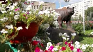 Оренбург - лучший город в мире!