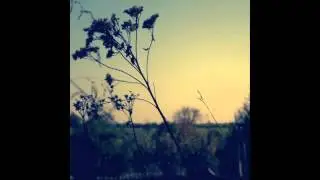 Asaf Avidan (Wankelmut Remix) - One Day / Reckoning Song | Original Track
