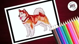 Dog Drawing | Husky | ARS Drawing
