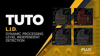TUTO: Dynamic Processing ( Level Independent Detection )