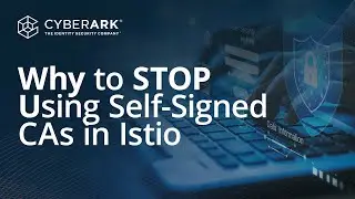 Upgrading Your Istio Security: The Case for Private CAs and Workload Identity | Venafi
