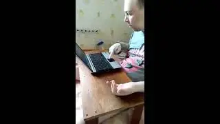 КАК УПРАВЛЯТЬ НОУТБУКОМ ЕСЛИ РУКИ НЕ РАБОТАЮТ