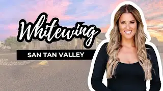 Whitewing San Tan