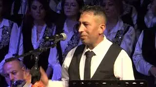 Arap atı gibi sallar başını -  Muammer Akça