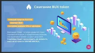 Как заработать в Buytex Network