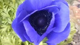 Fotografia pasja dla kochających naturę