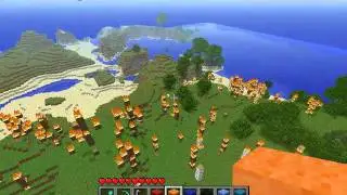 Forest Fire in Minecraft