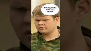Солдаты - Часть готовится к приезду проверяющего!
