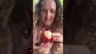 Wie schmeckt Rambutan in Thailand?