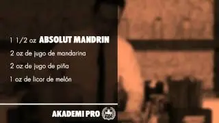Absolut Akademi Alejandro Mora Monterrey