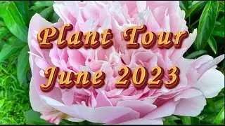 Plant Tour June 2023