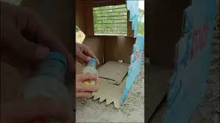 Best unique bird trap using cardboard box #shortsfeed #shorts