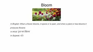Flower Names