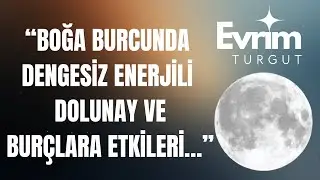 Boğa Burcunda Süper Dolunay ve İş İnsanlarına Kritik Öneriler