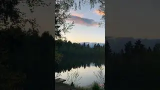Звуки природы🍃 
