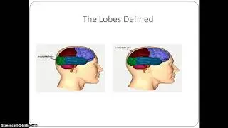 Psychology of Success: Lecture 3