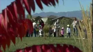 Broomfield Playful City