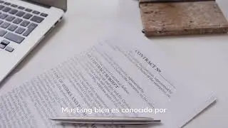 CURIOSIDADES sobre Elon Mosk (CEO TESLA)