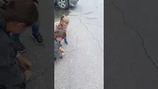 Спасли недобабочку 😁