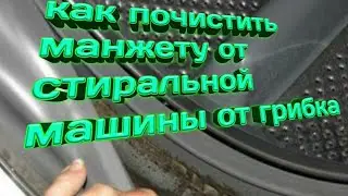 КАК ПОЧИСТИТЬ МАНЖЕТУ СТИРАЛЬНОЙ МАШИНЫ ОТ ГРИБКА