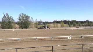 Training Level Test 2 - 71%