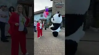 Амиго поздравляет с Днем рождения 