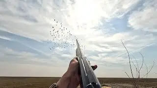 Goose Hunt Volgograd (2023) I have never seen such raids!