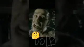 #актуально#дельфин