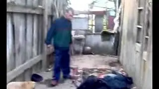 бои без правил!емельяненко начало подъема