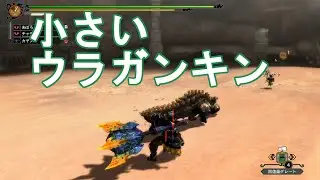 #26【MH3G HD】イベクエ！小さいウラガンキン！【モンハン実況】
