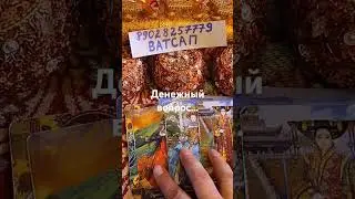 25 сентября 2024 г.