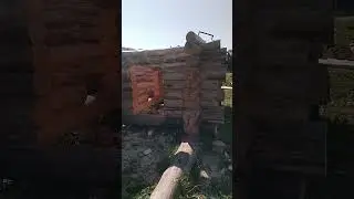 сруб осина