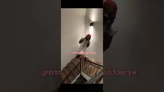 חרבו דרבו גרסת סטפן לגר,מה אתם אומרים? 👀 🔥 #dance #rap #music #חרבודרבו#נסוסטילה#סטפןלגר