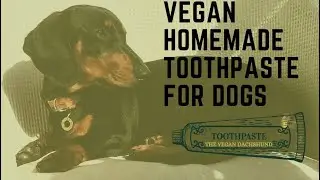 *DOG'S Easy+Cheap Plant-Based  Homemade Toothpaste*  *DIY* *VEGAN*