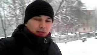 Вороны нашего двора