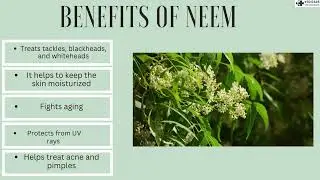 Neem for flawless skin