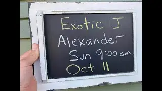 Exotic J - Alexander