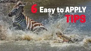 📸 Unlock the Secrets of Wildlife Photography! 🦁🌿