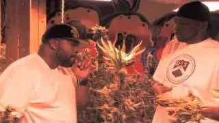 Raekwon - Wu-Tang x Weed