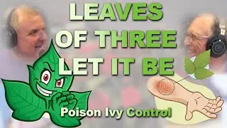 Leaves of 3, Let It Be: Essential Poison Ivy Control | 101 | Bloomers in the Garden