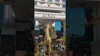 Тренд 2022года. Наша семья в теме! 😁