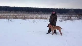 23 января 2020 г.